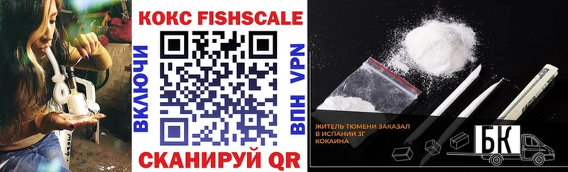 Купить  Подпорожье  Cocaine Эквадор 