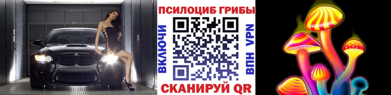 Галлюциногенные грибы GOLDEN TEACHER  Купить  Подпорожье 